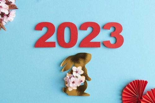 2023年属兔本命年（2023年属兔的注意事项）