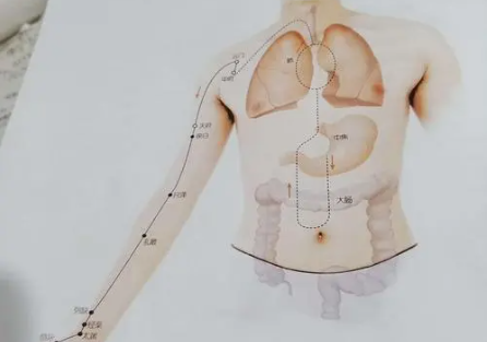 肺经在身体哪个部位（肺经上的穴位详解）