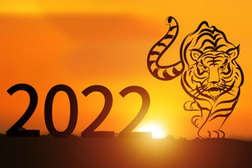 2022年属什么生肖属相（2022年是虎年吗）