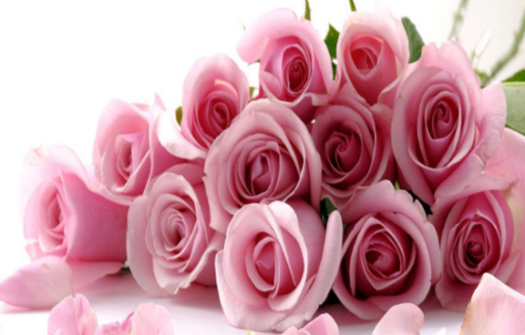 粉色玫瑰的花语是什么意思（粉玫瑰适合送什么人）