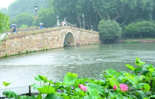 杭州梅雨季节有哪些防潮技巧（杭州梅雨季节具体是什么时候）