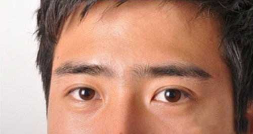 男人眉毛有几种眉形(四种有福气的眉毛图解)
