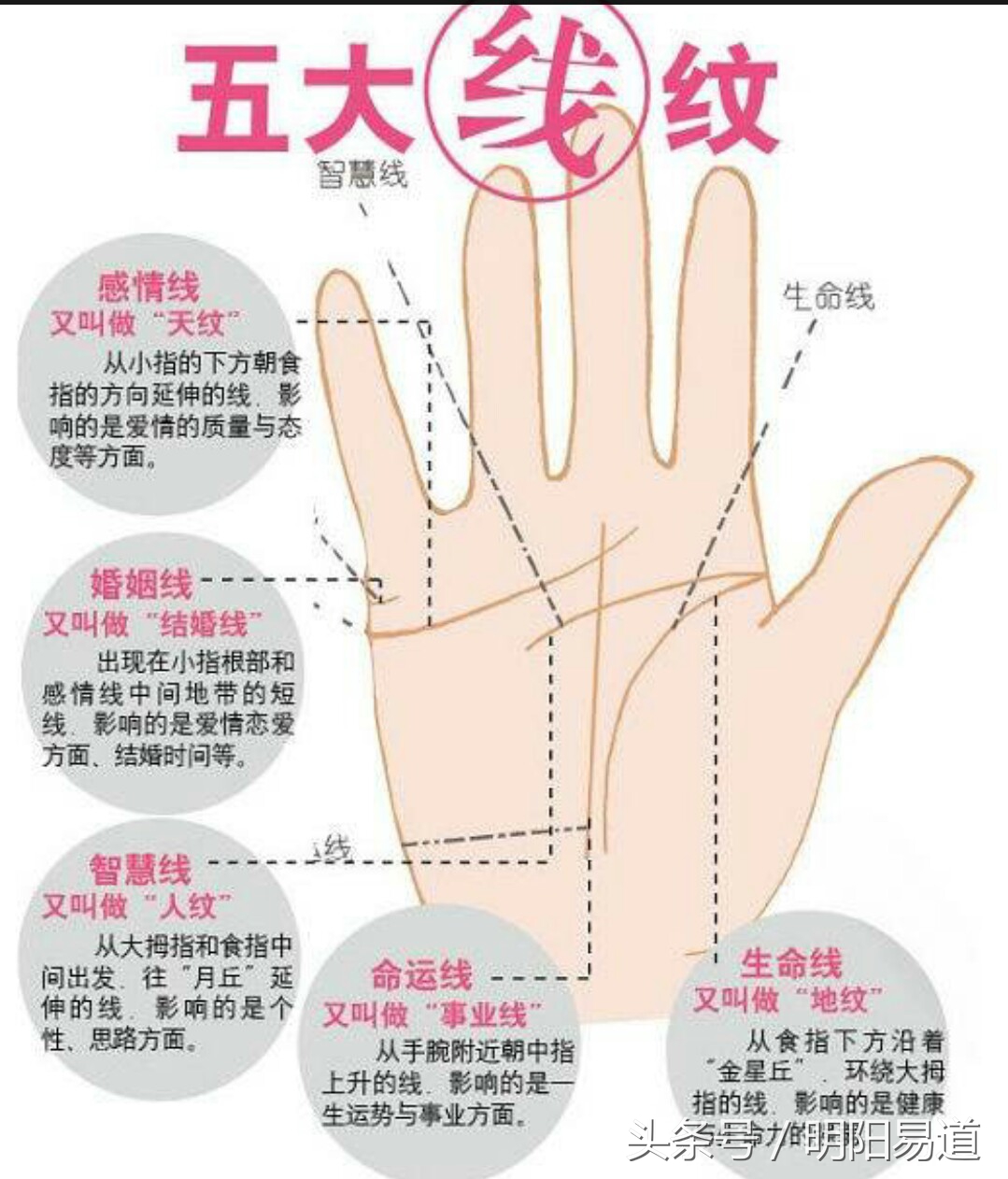 【手相紋占い3】手のひらにクロス・十字紋・十字線（バツ印×・プラス印＋）がある手相の見方 | 簡単な手相の見方を伝授します